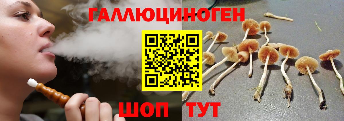 Псилоцибиновые грибы Psilocybe  Вход с VPN  Волгодонск 